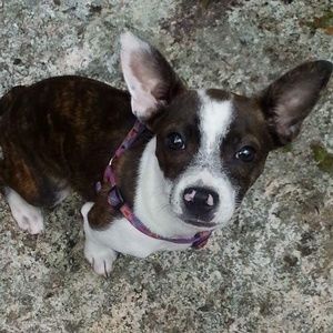 Meet your Posher, Jaimie